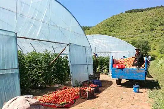 管道局：堅(jiān)決當(dāng)好保障國(guó)家能源安全的“壓艙石”和“頂梁柱”！