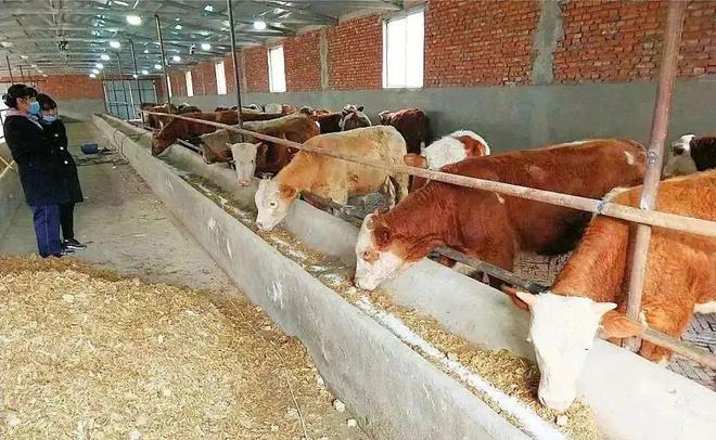 管道局：堅(jiān)決當(dāng)好保障國(guó)家能源安全的“壓艙石”和“頂梁柱”！