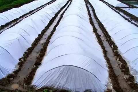 PE管與HDPE管區(qū)別在哪？一文給你講清楚